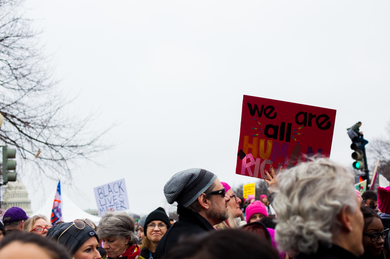 Illustration for article titled WOMEN'S MARCH ON WASHINGTON : THE SIGNS